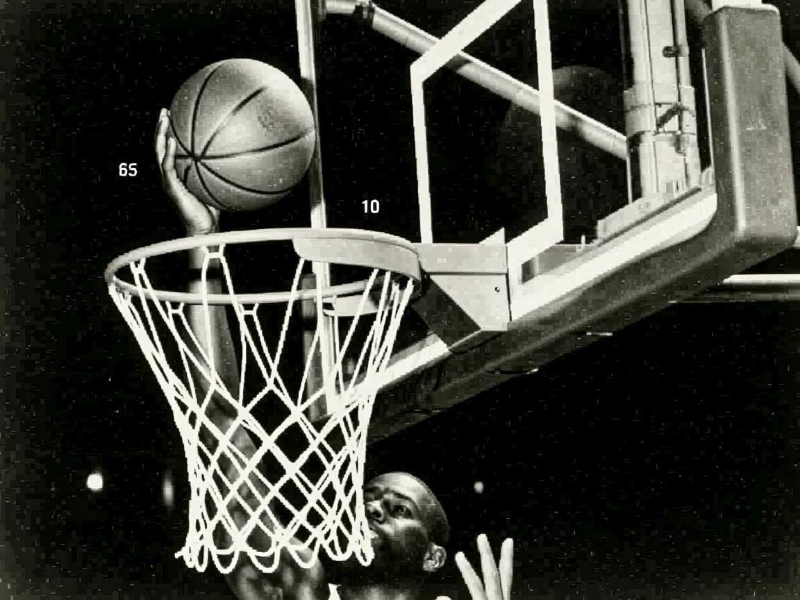 开云体育app官网-CBA新赛季揭幕 各队蓄势待发,cba新赛季赛程安排规则 第2张